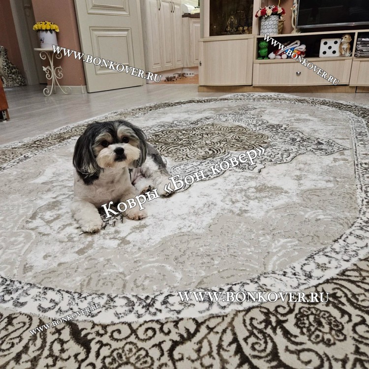 Современный Ковер Для Гостиной Арт 30354 Овал